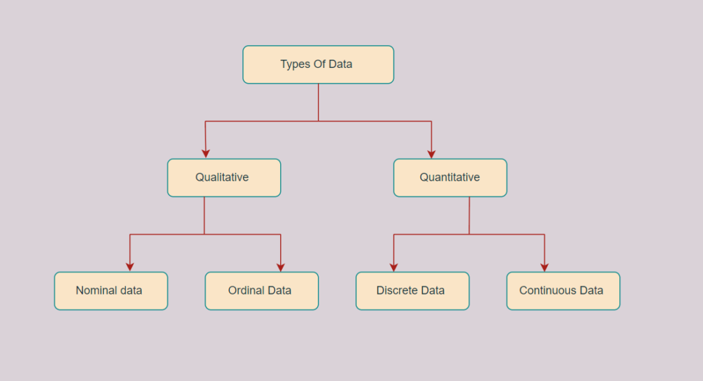 Type of The Data 